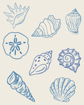 Coastal seashell collection print with beige background, eight hand-drawn shells in blue