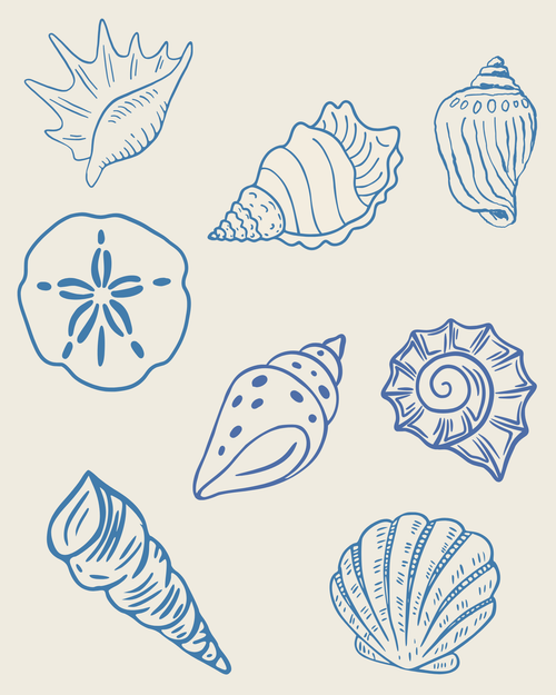 Coastal seashell collection print with beige background, eight hand-drawn shells in blue