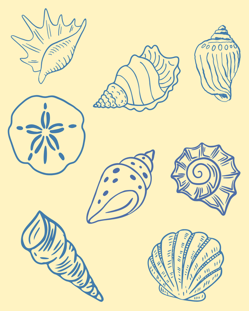 Coastal seashell collection print with yellow background, eight hand-drawn shells in blue